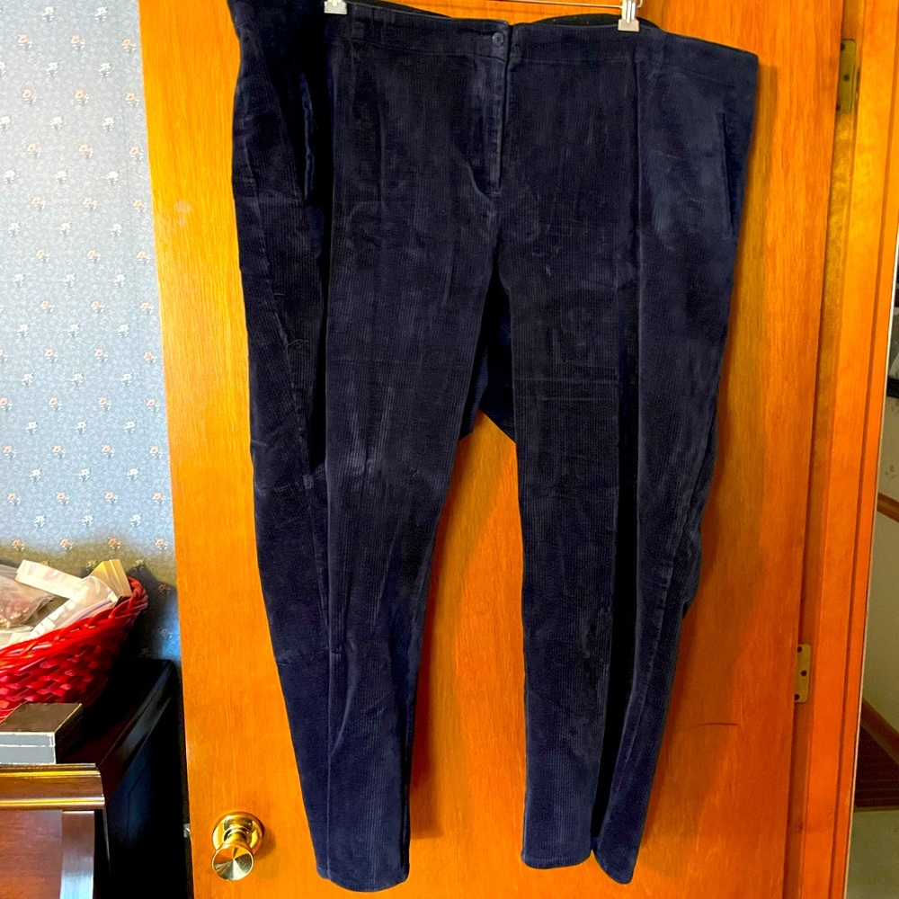 28W Navy Corduroy Pants